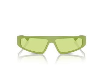 Ray-Ban Izaz Solglasögon RB 4432 6763/2