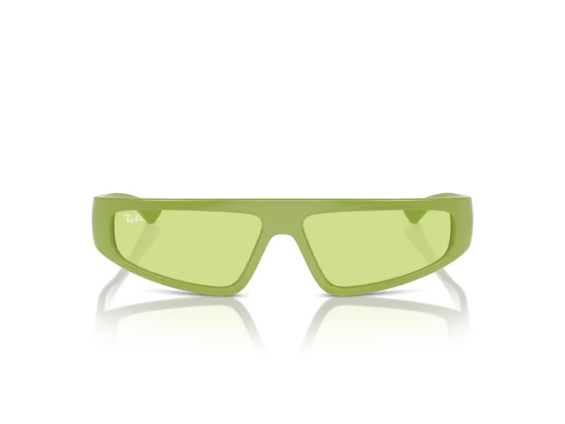 Ray-Ban Izaz Solglasögon RB 4432 6763/2
