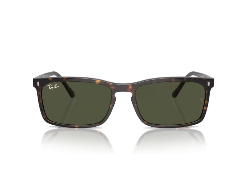 Ray-Ban Solglasögon RB 4435 902/31