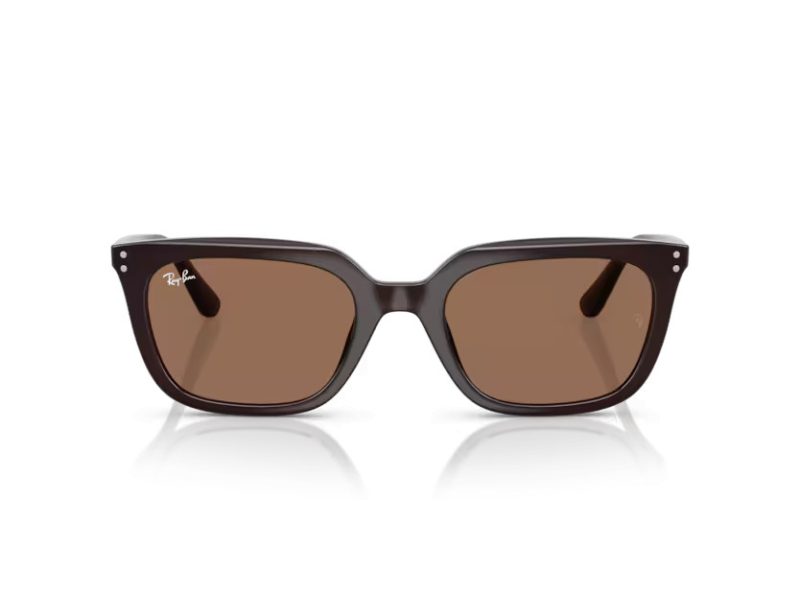 Ray-Ban Solglasögon RB 4439D 623173