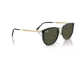Ray-Ban Solglasögon RB 4451 630631