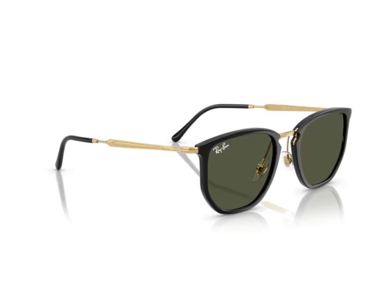 Ray-Ban Solglasögon RB 4451 630631