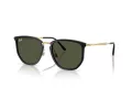 Ray-Ban Solglasögon RB 4451 630631