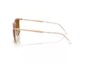 Ray-Ban Solglasögon RB 4451 680133