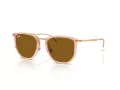 Ray-Ban Solglasögon RB 4451 680133
