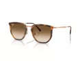 Ray-Ban Solglasögon RB 4451 680451
