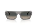 Ray-Ban Flacko Solglasögon RB 4454 680571