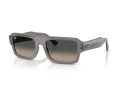 Ray-Ban Flacko Solglasögon RB 4454 680571