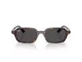 Ray-Ban Zuri Solglasögon RB 4455 135987