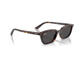 Ray-Ban Zaya Solglasögon RB 4456 135987