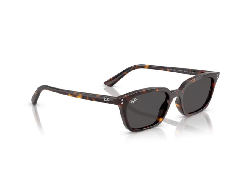 Ray-Ban Zaya Solglasögon RB 4456 135987