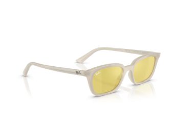 Ray-Ban Zaya Solglasögon RB 4456 68086D