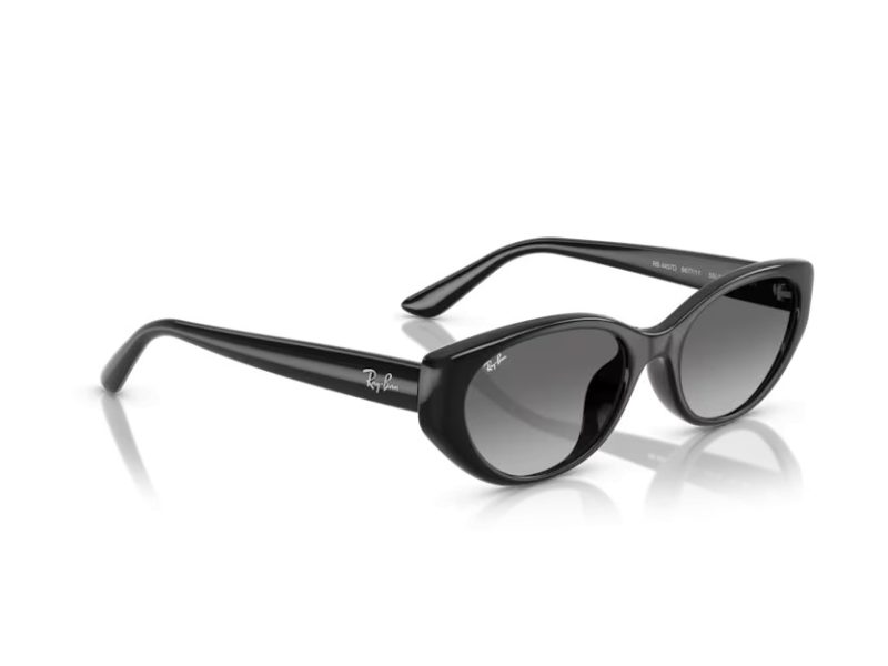 Ray-Ban Solglasögon RB 4457D 667711