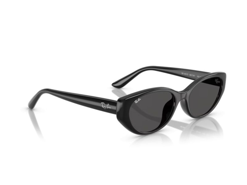 Ray-Ban Solglasögon RB 4457D 667787