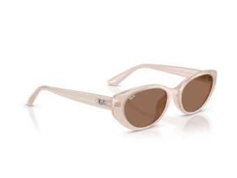 Ray-Ban Solglasögon RB 4457D 678673