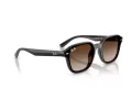 Ray-Ban Solglasögon RB 4458D 714/13