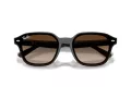 Ray-Ban Solglasögon RB 4458D 714/13