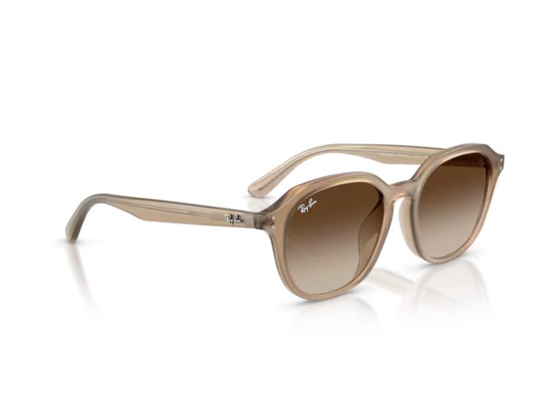 Ray-Ban Solglasögon RB 4459D 616613