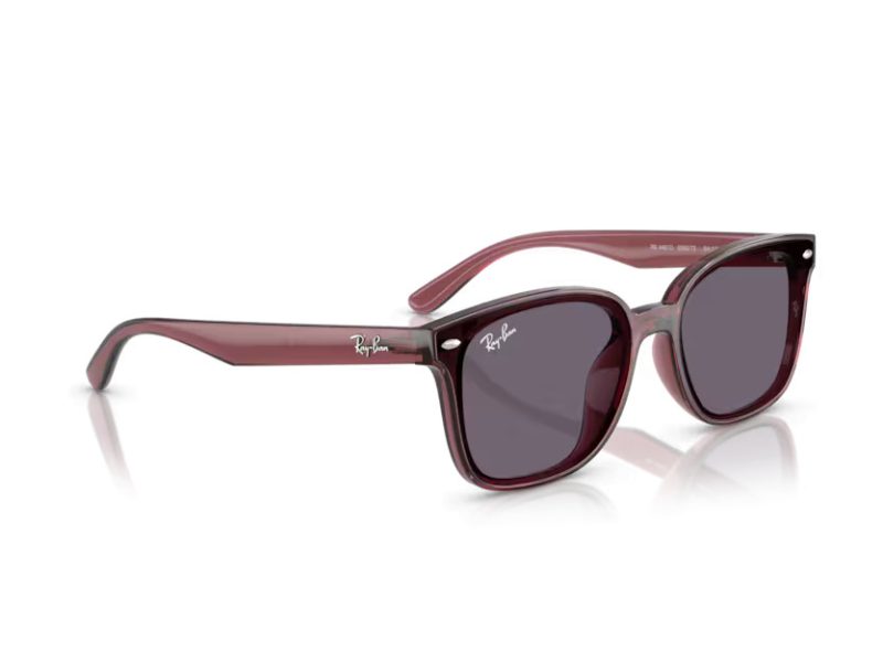 Ray-Ban Solglasögon RB 4461D 659373