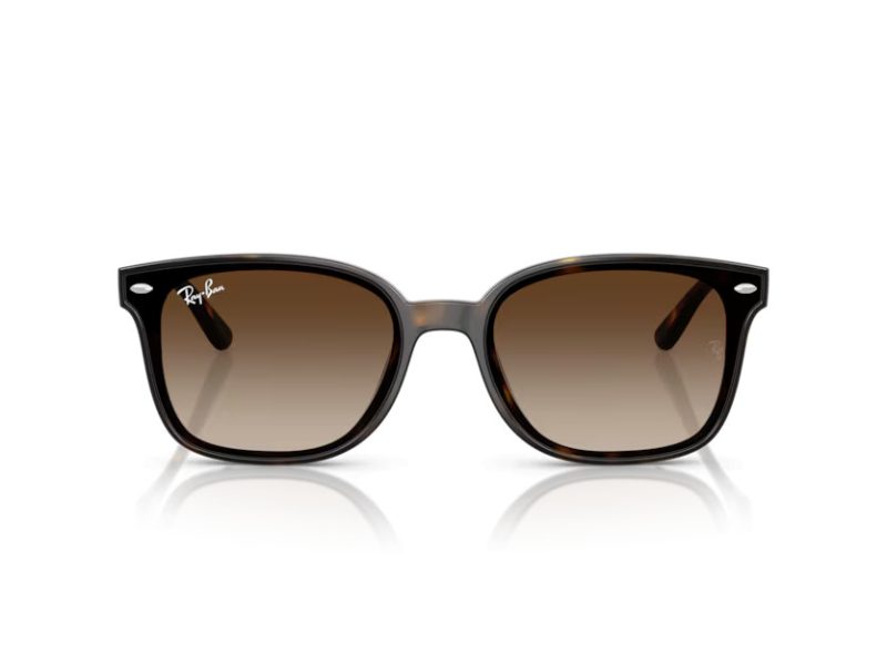 Ray-Ban Solglasögon RB 4461D 710/13