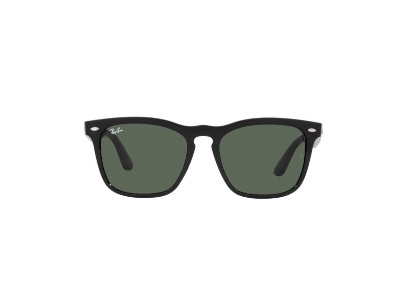 Ray-Ban Steve Solglasögon RB 4487 6629/71