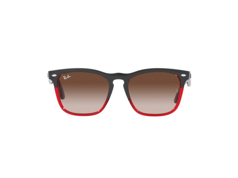 Ray-Ban Steve Solglasögon RB 4487 6631/13