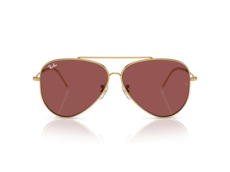Ray-Ban Aviator Reverse Solglasögon RB R0101S 001/69