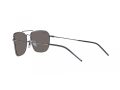 Ray-Ban Caravan Reverse Solglasögon RB R0102S 004/GA