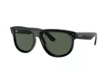 Ray-Ban Wayfarer Reverse Solglasögon RB R0502S 6677VR