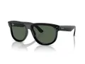 Ray-Ban Wayfarer Reverse Solglasögon RB R0502S 6677VR