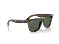 Ray-Ban Wayfarer Reverse Solglasögon RB R0502S 6790VR