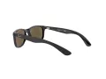 Ray-Ban Solglasögon RJ 9062S 7013/55