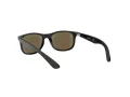 Ray-Ban Solglasögon RJ 9062S 7013/55