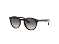 Ray-Ban Solglasögon RJ 9064S 100/11
