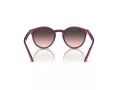 Ray-Ban Solglasögon RJ 9064S 716246