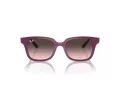 Ray-Ban Solglasögon RJ 9071S 716246