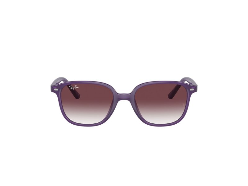 Ray-Ban Junior Leonard Solglasögon RJ 9093S 713136