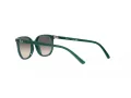 Ray-Ban Junior Elliot Solglasögon RJ 9097S 713011