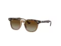 Ray-Ban Solglasögon RJ 9098S 7152T5
