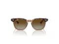 Ray-Ban Solglasögon RJ 9098S 7152T5