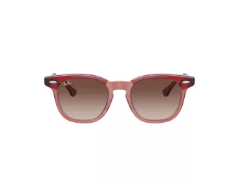 Ray-Ban Solglasögon RJ 9098S 715413