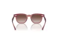 Ray-Ban Solglasögon RJ 9098S 715413