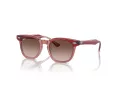 Ray-Ban Solglasögon RJ 9098S 715413