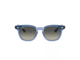 Ray-Ban Solglasögon RJ 9098S 715911