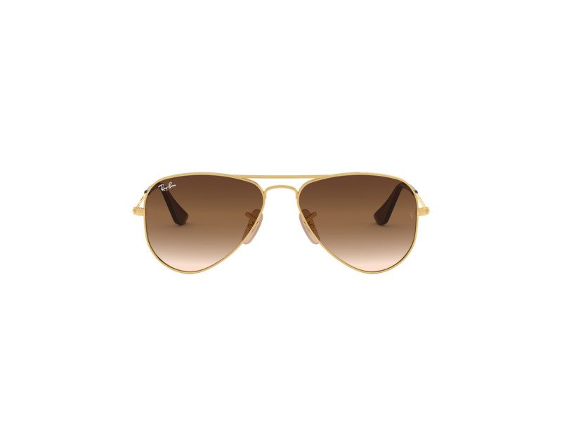 Ray-Ban Junior Aviator Solglasögon RJ 9506S 223/13