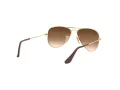 Ray-Ban Junior Aviator Solglasögon RJ 9506S 223/13