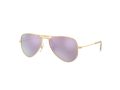 Ray-Ban Junior Aviator Solglasögon RJ 9506S 249/4V