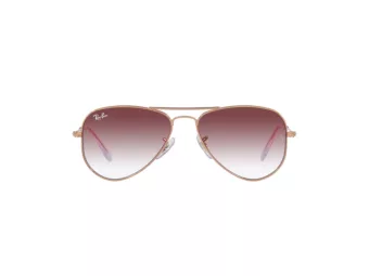 Ray-Ban Junior Aviator Solglasögon RJ 9506S 291/8H