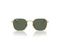 Ray-Ban Solglasögon RJ 9594S 223/71