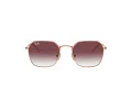 Ray-Ban Solglasögon RJ 9594S 291/8H